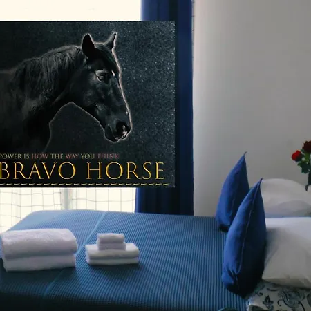 Bravo Horse Homestay *