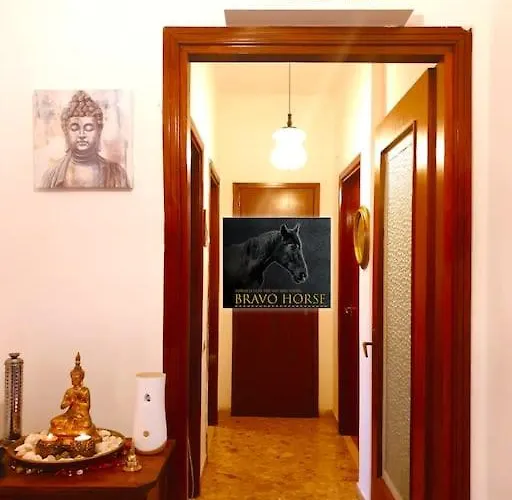 Bravo Horse * Firenze